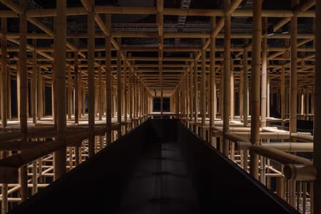 The Structural Field