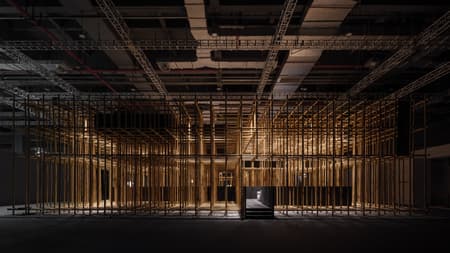 The Structural Field