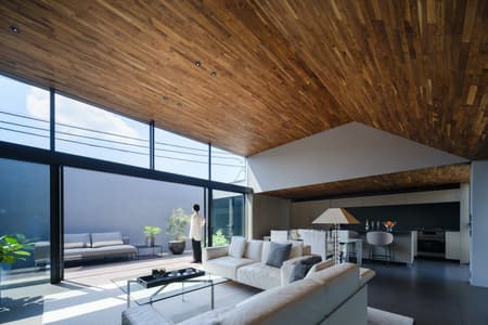 LAXUS House