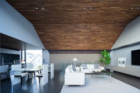 LAXUS House