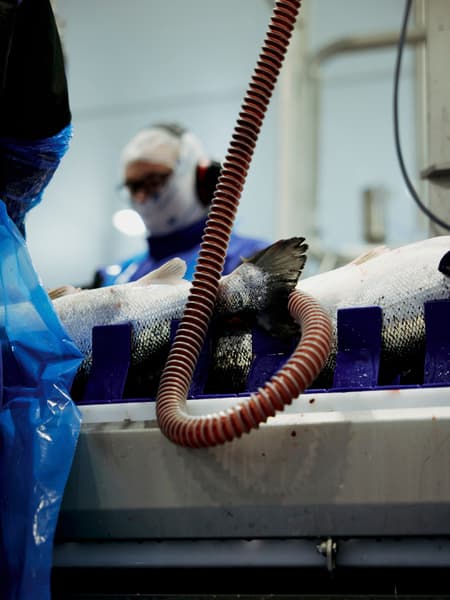 Holmøy Production Facility 