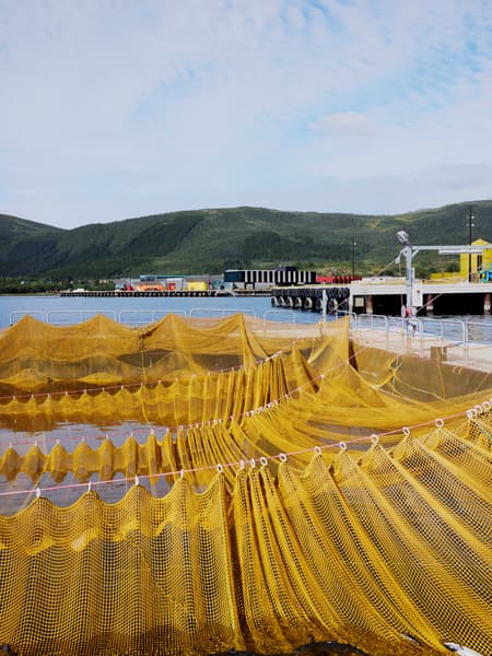 Holmøy Production Facility 