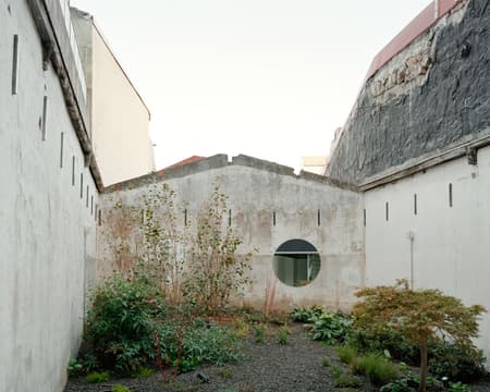 Oasis under a Building