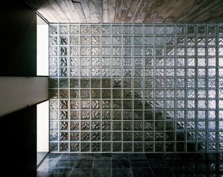 House of Countless Windows 