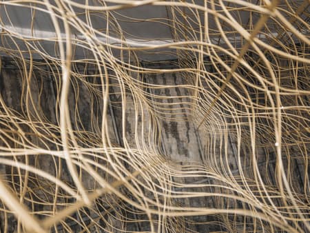 Whitestone Gallery Beijing 798