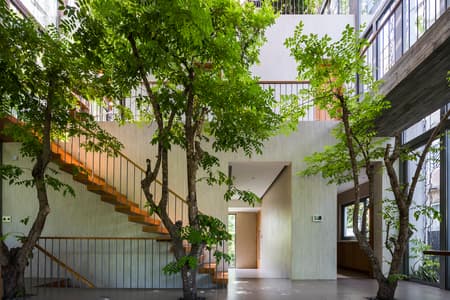 Stepping Park House