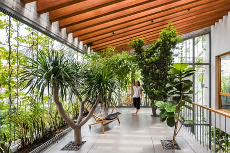 Stepping Park House