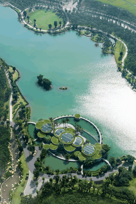 Lotus Clubhouse