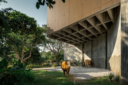 W House II