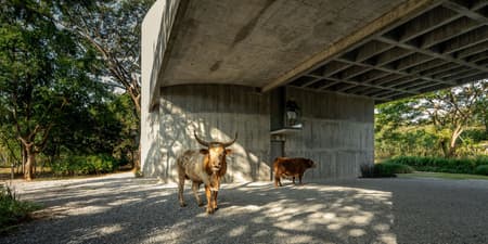 W House II