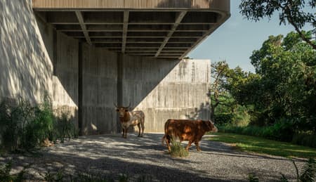 W House II
