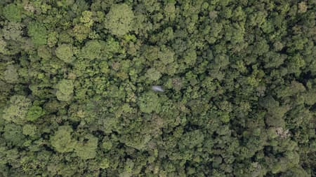 Refuge in the Rainforest - Tour Guide Training Center