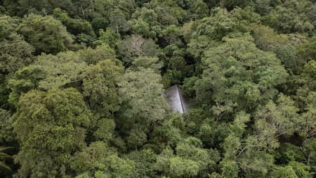 Refuge in the Rainforest - Tour Guide Training Center