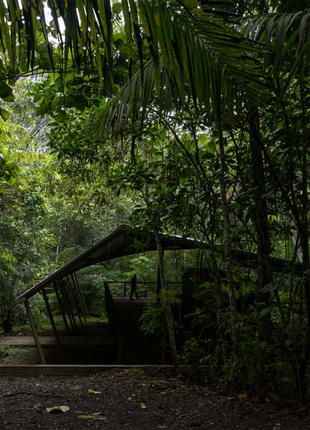 Refuge in the Rainforest - Tour Guide Training Center