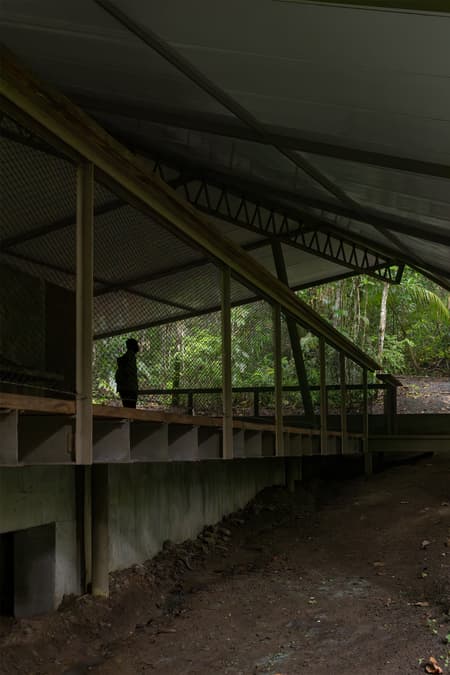 Refuge in the Rainforest - Tour Guide Training Center