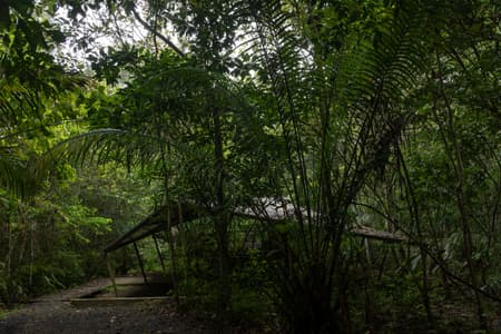 Refuge in the Rainforest - Tour Guide Training Center