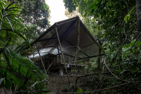 Refuge in the Rainforest - Tour Guide Training Center