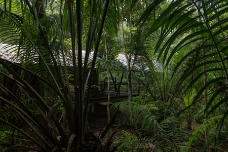 Refuge in the Rainforest - Tour Guide Training Center