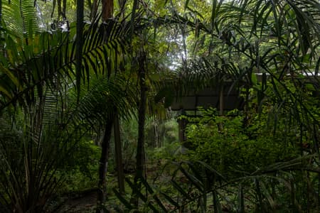 Refuge in the Rainforest - Tour Guide Training Center