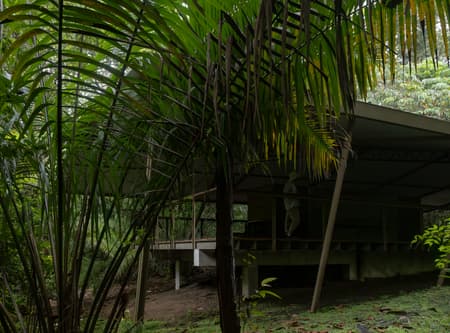 Refuge in the Rainforest - Tour Guide Training Center