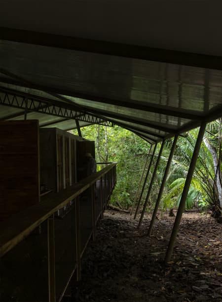 Refuge in the Rainforest - Tour Guide Training Center