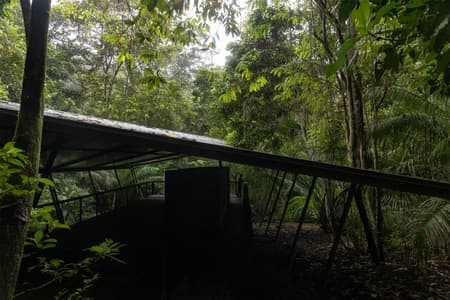 Refuge in the Rainforest - Tour Guide Training Center