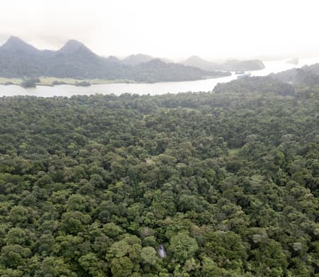 Refuge in the Rainforest - Tour Guide Training Center