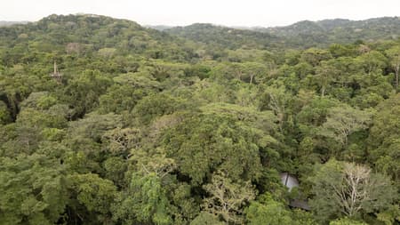 Refuge in the Rainforest - Tour Guide Training Center