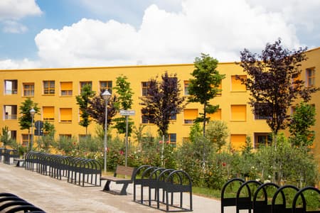 Mangalem 21