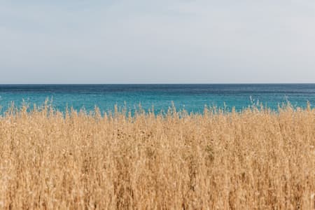 Tini Menorca