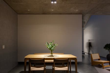 X House