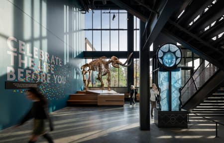 The Burke Museum