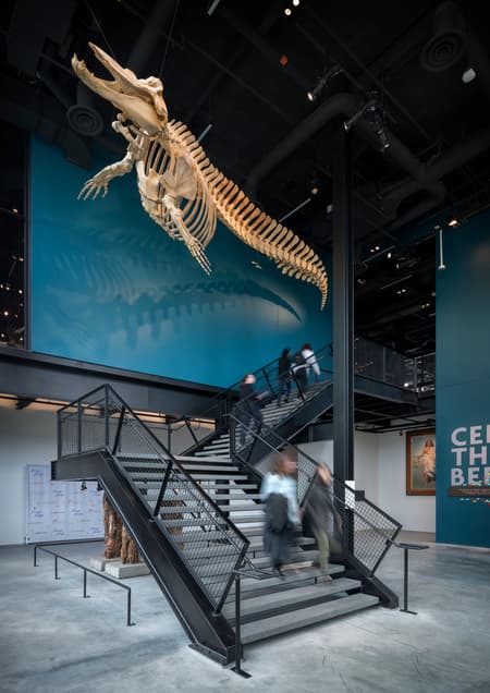 The Burke Museum
