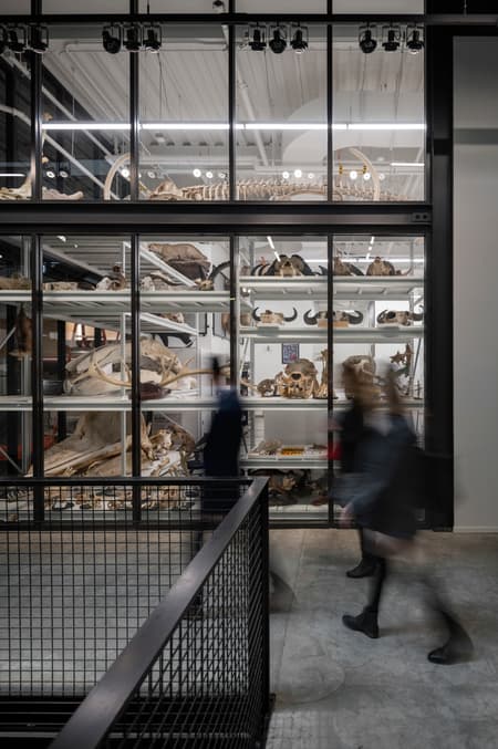 The Burke Museum