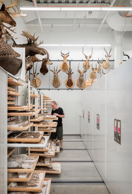The Burke Museum