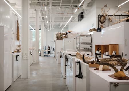 The Burke Museum