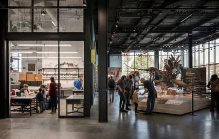 The Burke Museum
