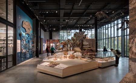 The Burke Museum