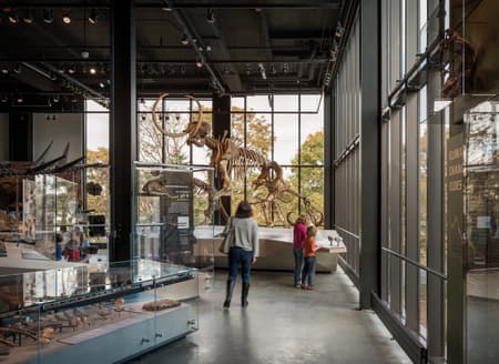 The Burke Museum