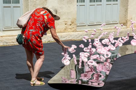 The Tasting Tongue - Art Installation