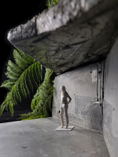 Moon Bay Waterfall Viewing 