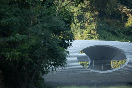 Resting Loop with Views