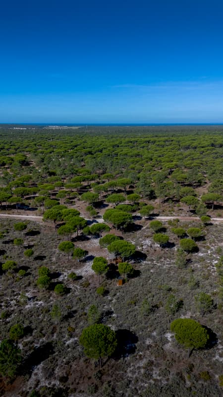 Atlantica TOW Tiny House