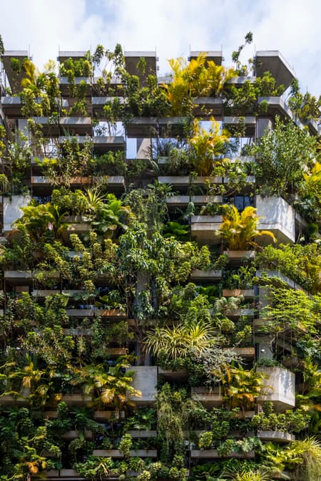 Urban Farming Office