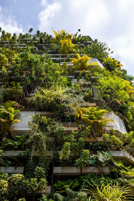 Urban Farming Office