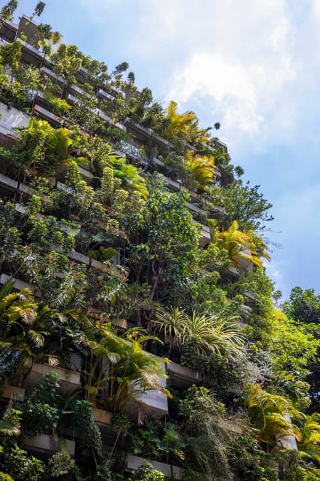 Urban Farming Office