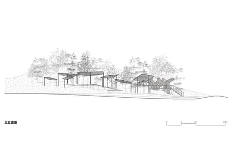 Floating Canopy Grove