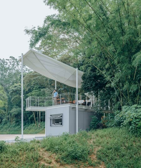 Floating Canopy Grove