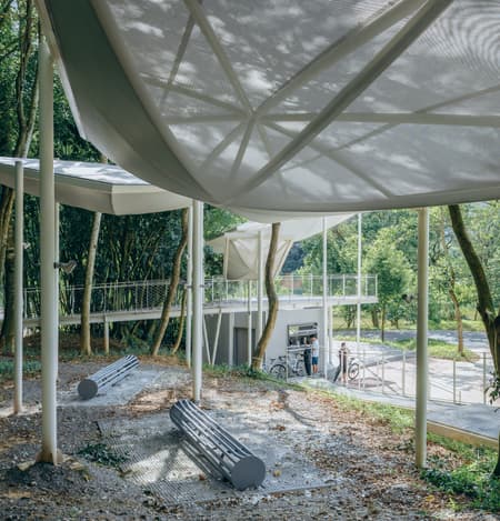Floating Canopy Grove