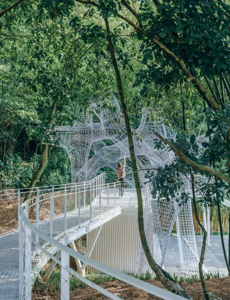 Floating Canopy Grove